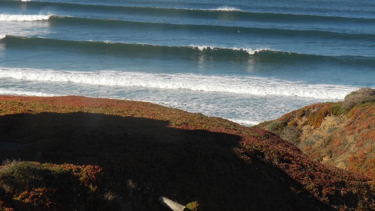 Photo of Others in Dillon Beach