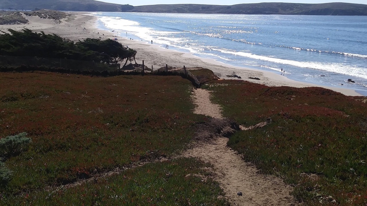 Photo of Others in Dillon Beach
