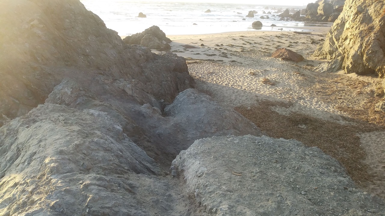 Photo of Others in Dillon Beach