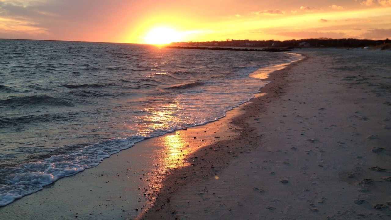 Photo of Others in Hyannis