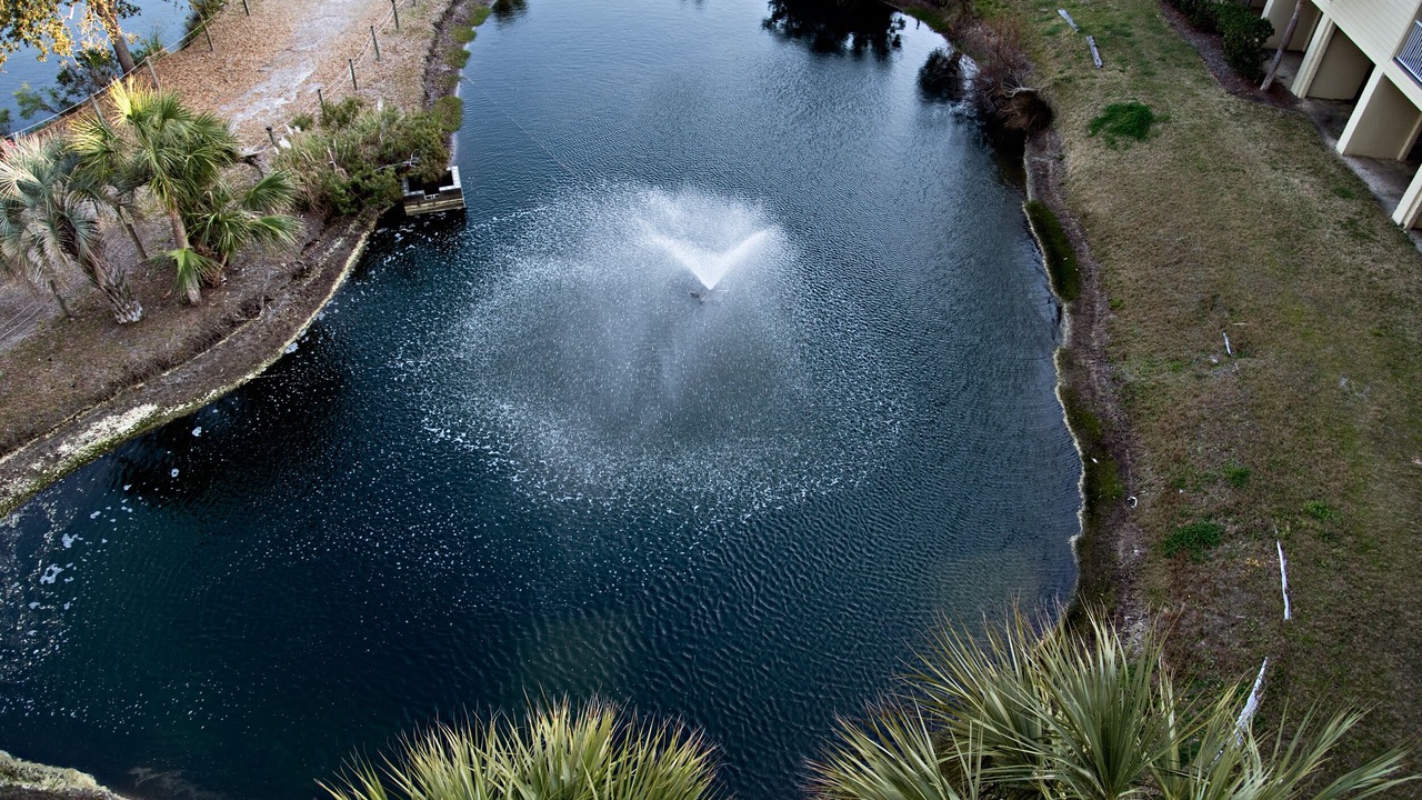 Photo of Outdoor in Palmetto Dunes