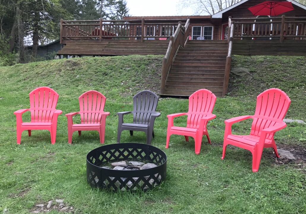 Photo of Outdoor in Starlight