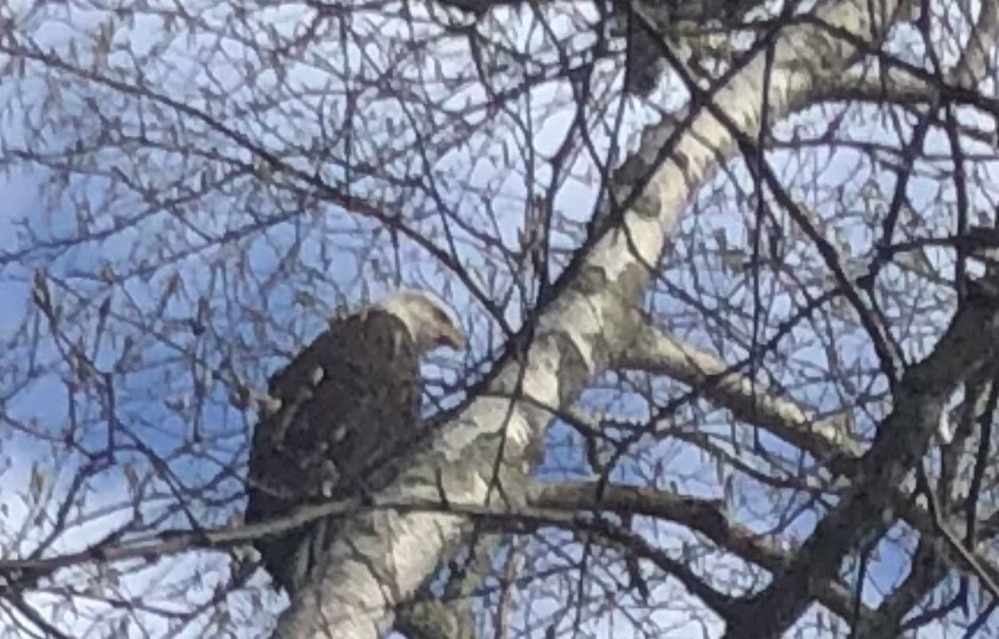 Photo of Outdoor in Starlight