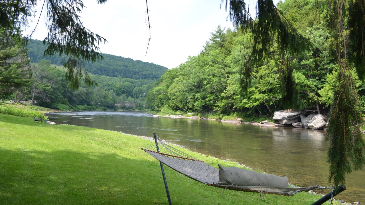 Photo of Outdoor in Starlight