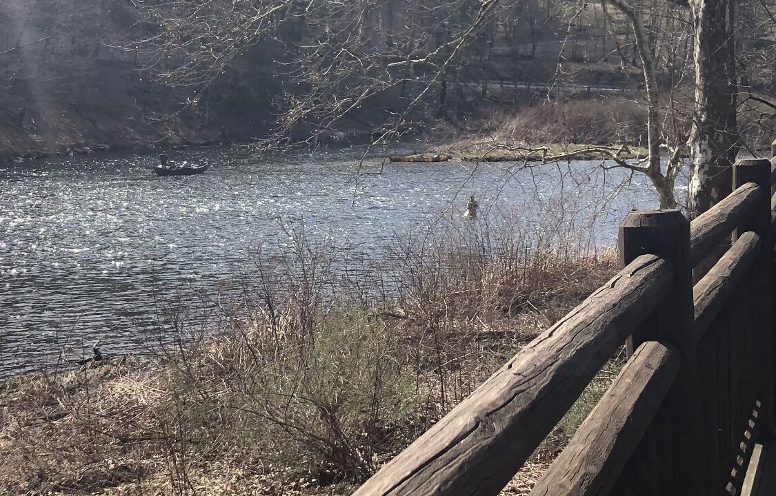 Photo of Outdoor in Starlight