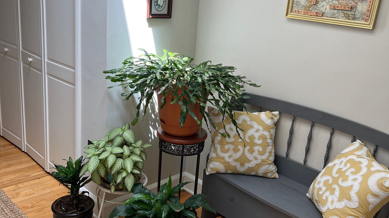 Photo of Others in North Augusta