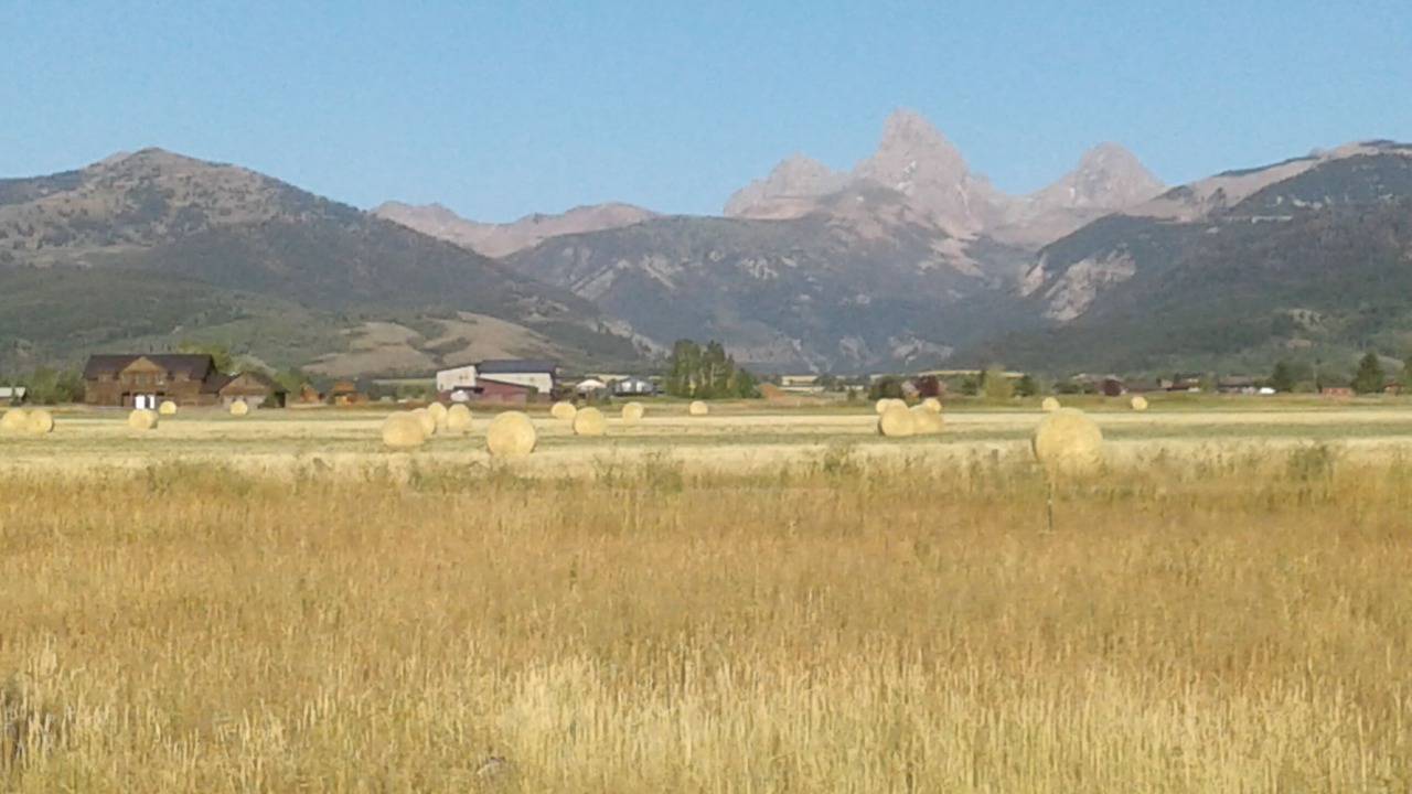 Photo of Outdoor in Driggs