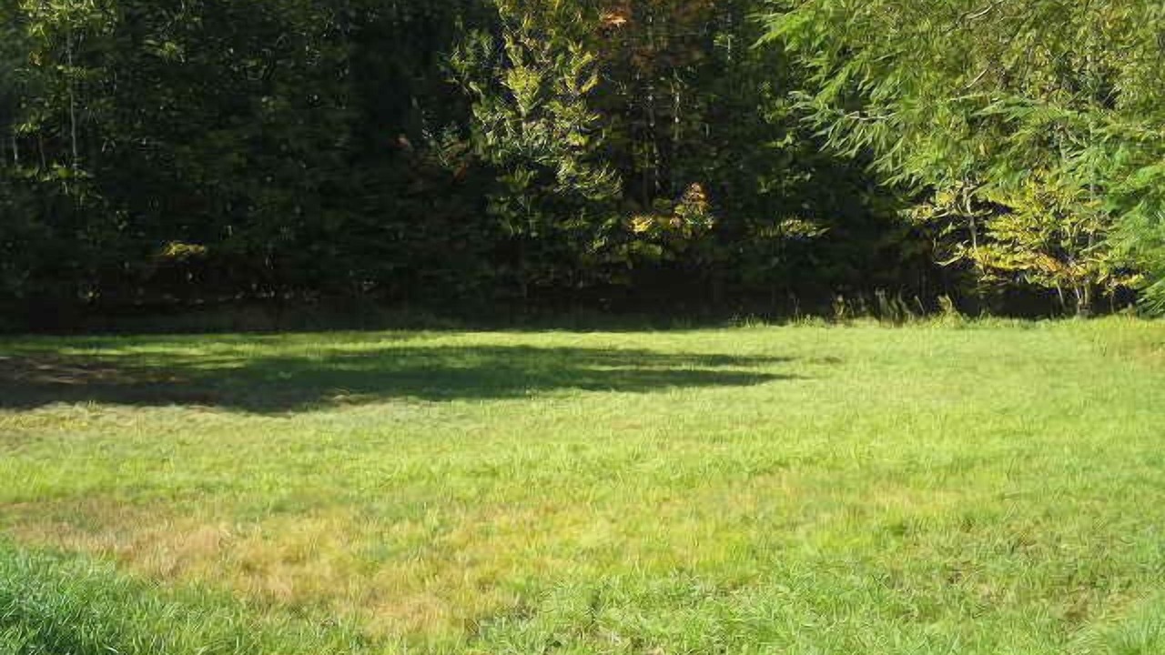 Photo of Others in Saranac Lake