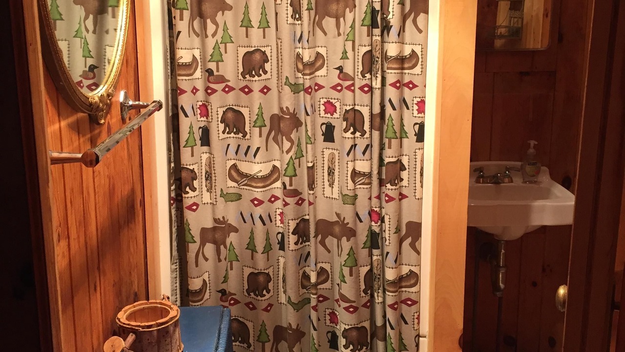 Photo of Bathroom in Saranac Lake