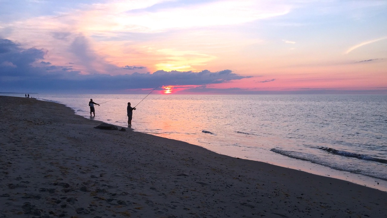 Photo of Others in Dionis