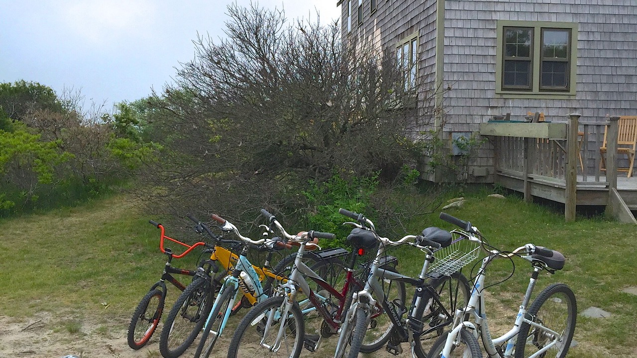 Photo of Others in Dionis