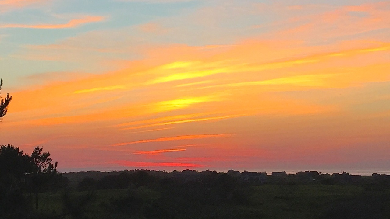 Photo of Others in Dionis