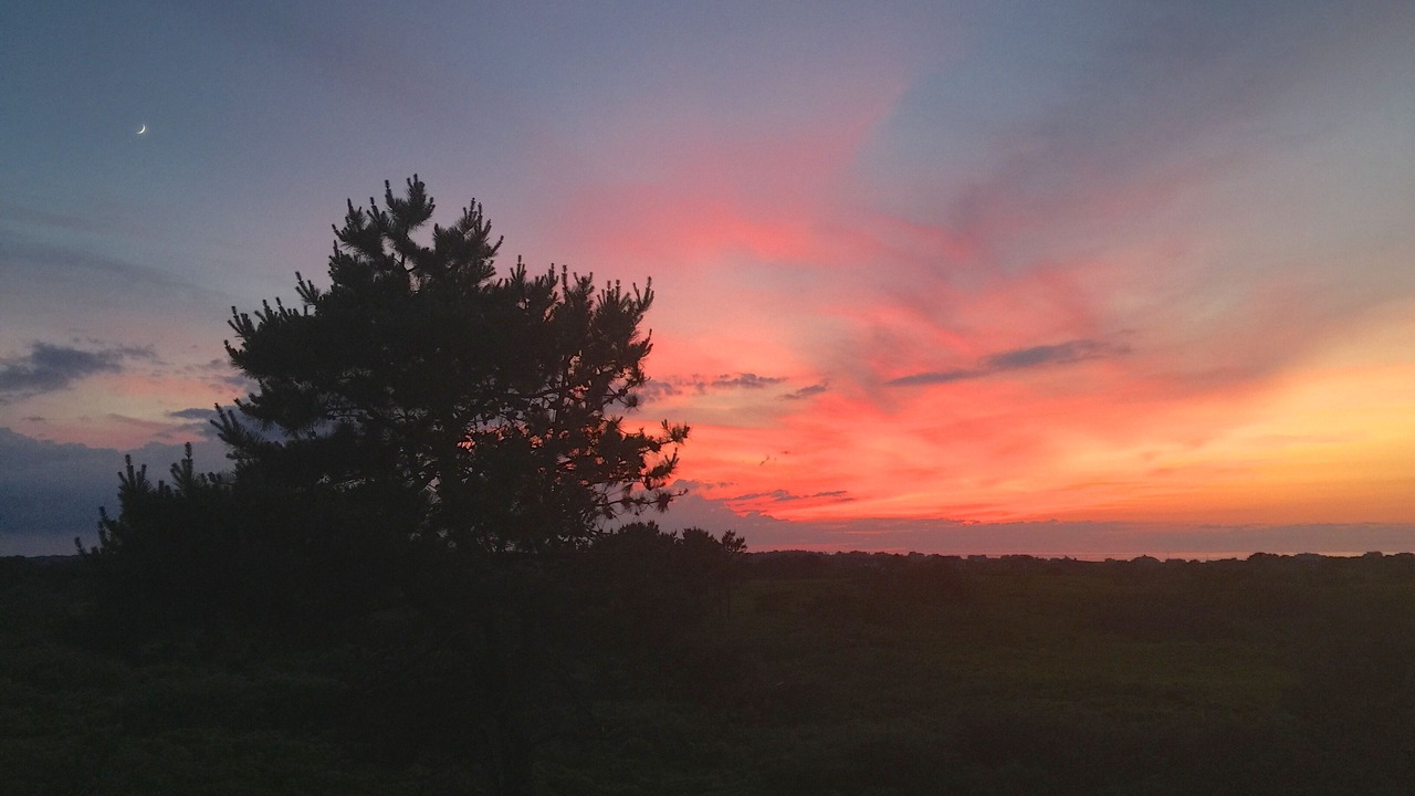 Photo of Others in Dionis