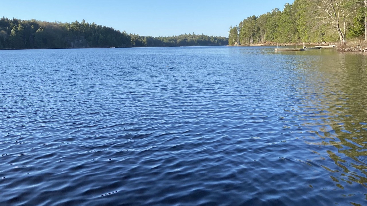 Photo of Others in Long Lake