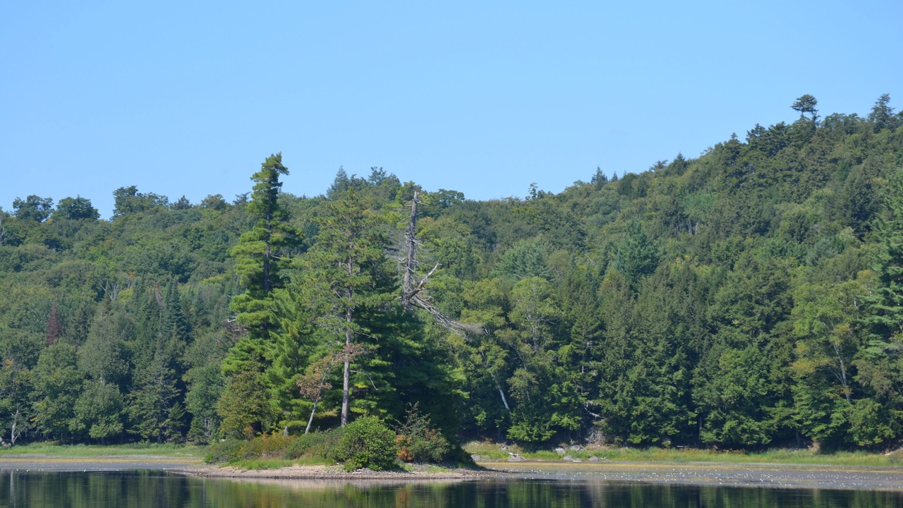 Photo of Others in Long Lake