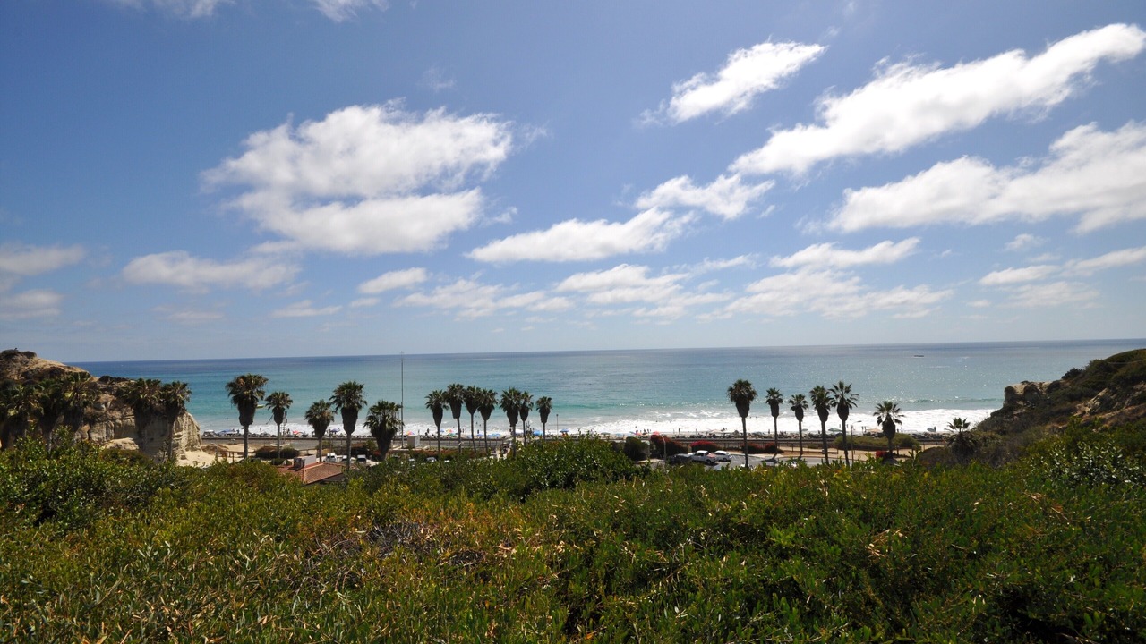 Photo of Others in San Clemente