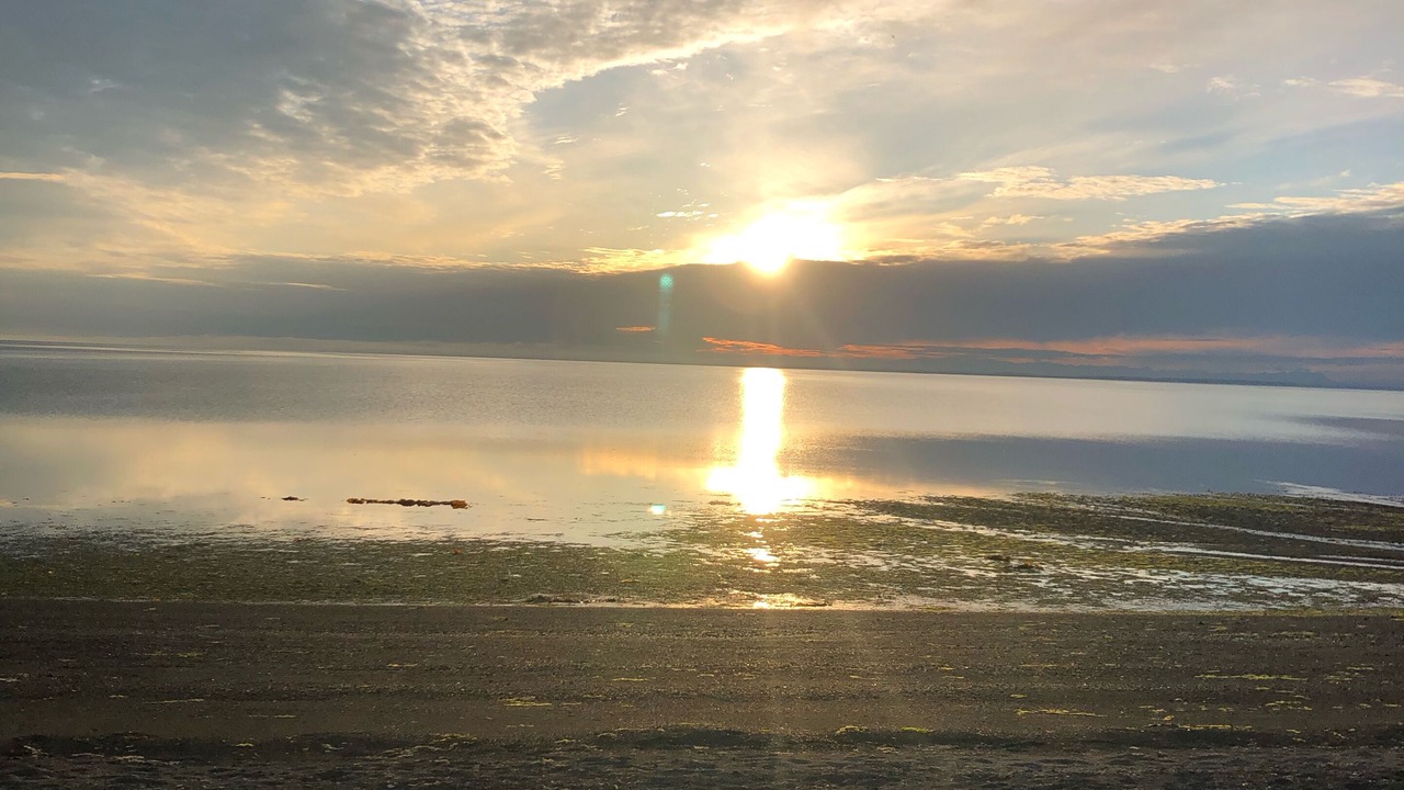 Photo of Others in Sequim