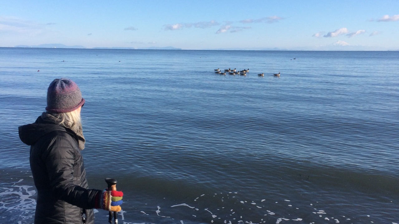Photo of Others in Sequim