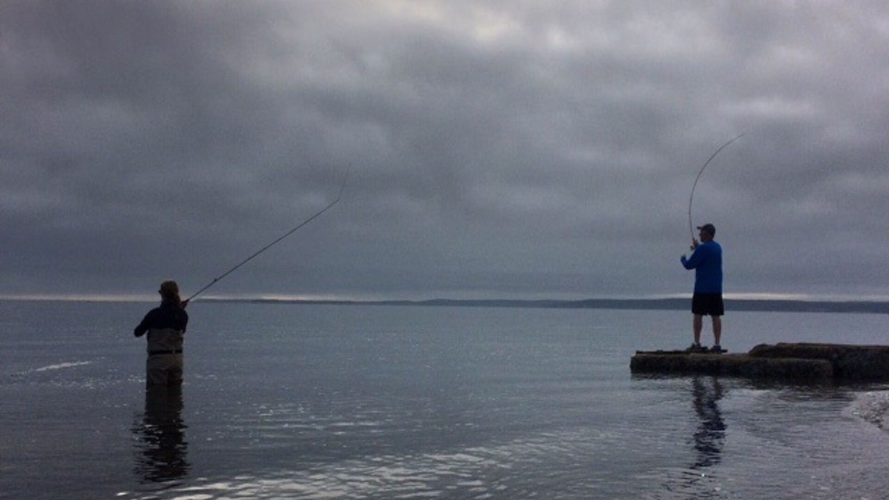 Photo of Others in Sequim