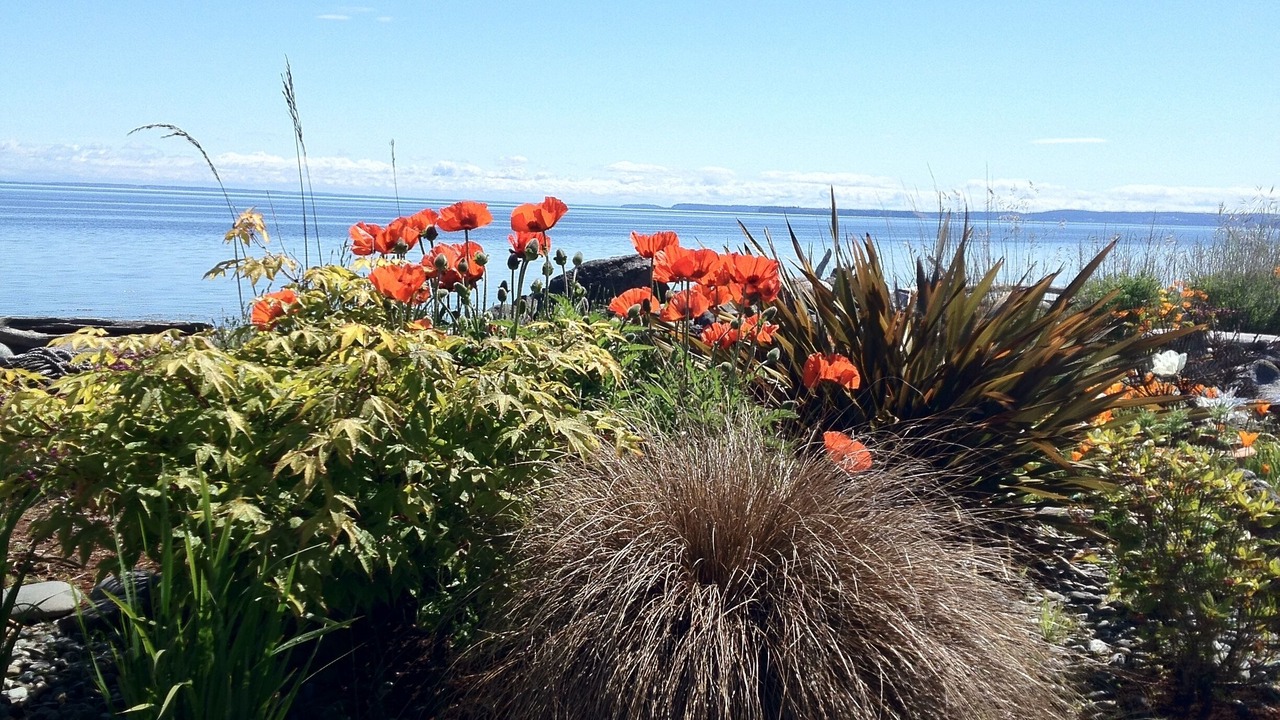 Photo of Outdoor in Sequim
