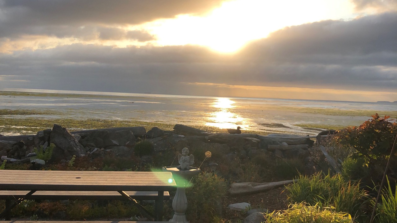 Photo of Outdoor in Sequim
