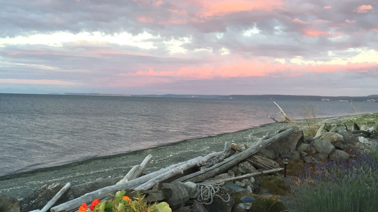 Photo of Others in Sequim