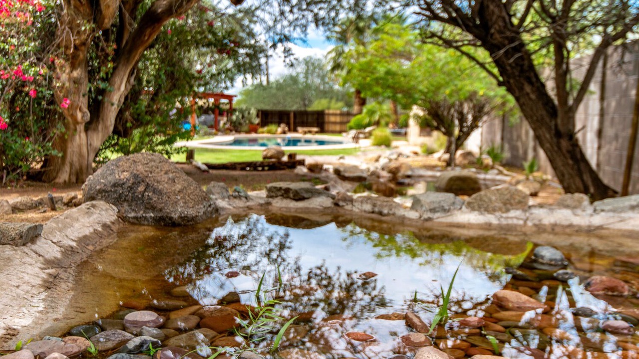 Photo of Outdoor in Pinnacle Peak