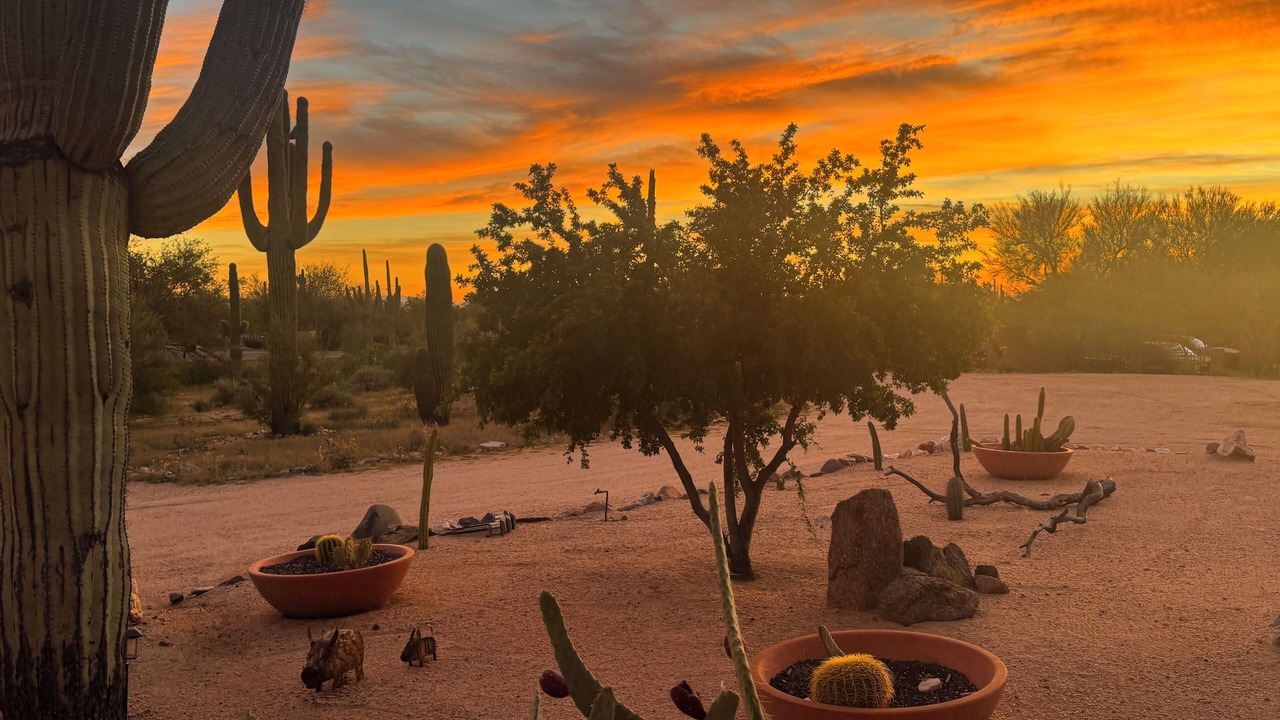 Photo of Outdoor in Pinnacle Peak
