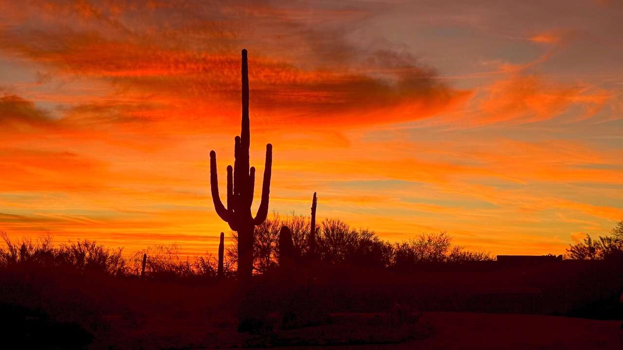 Photo of Outdoor in Pinnacle Peak
