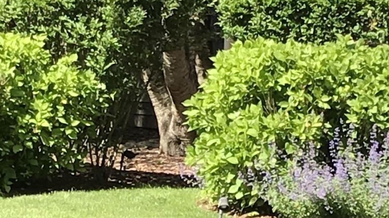 Photo of Outdoor in Tuckahoe