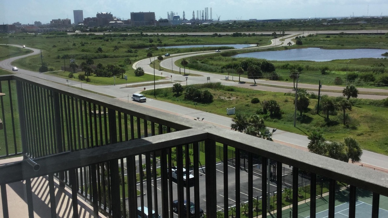 Photo of Others in Galveston