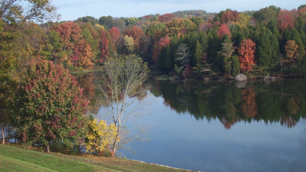 Photo of Others in Mount Juliet