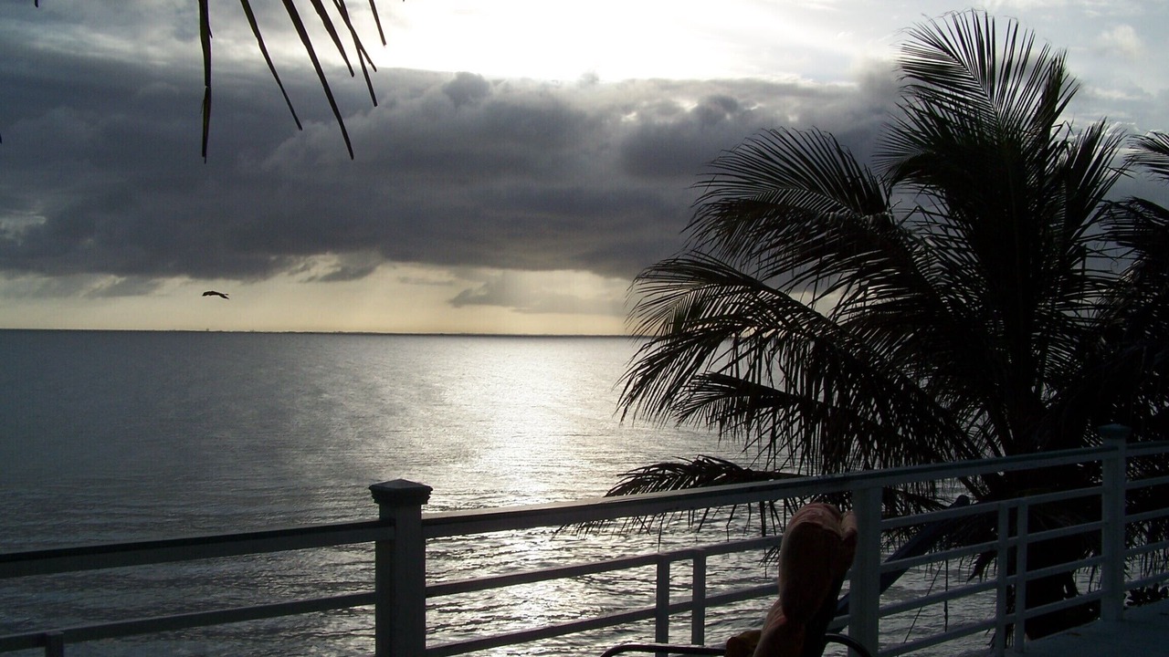 Photo of Others in Anna Maria