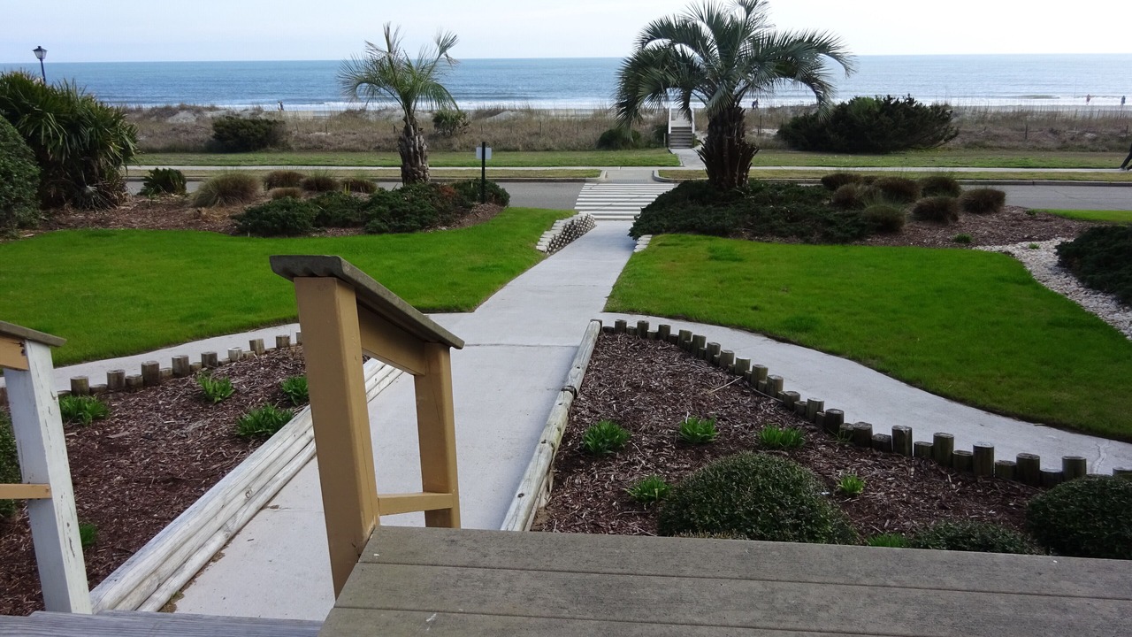 Photo of Others in Myrtle Beach