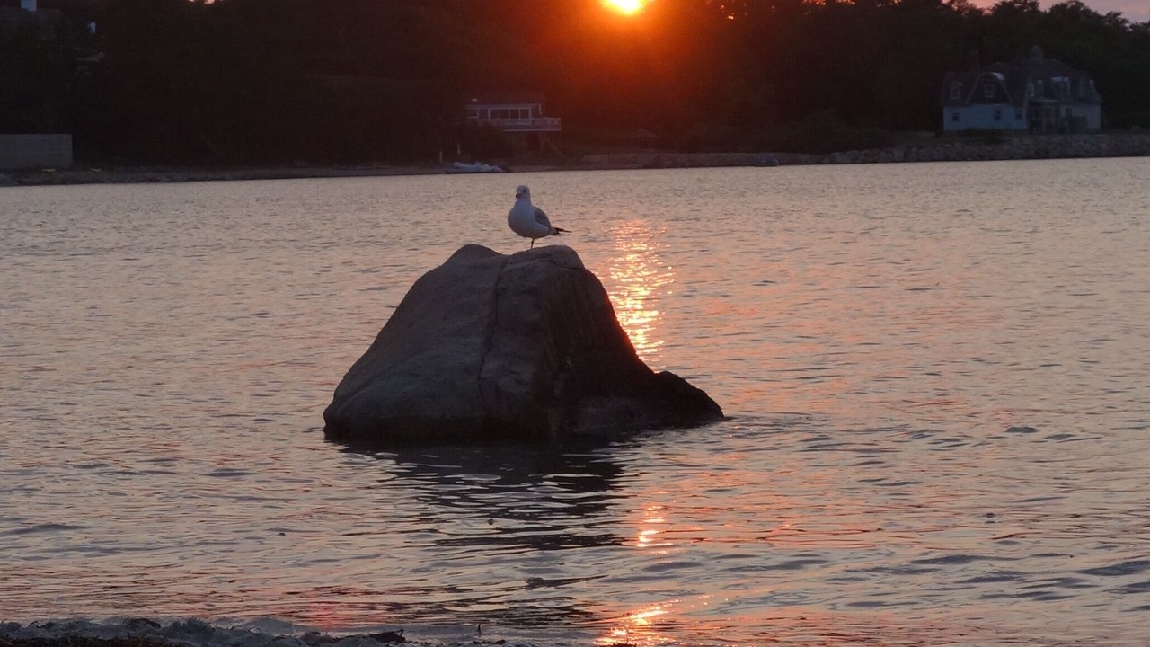 Photo of Others in Woods Hole