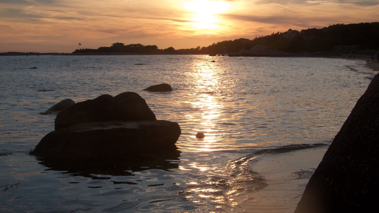 Photo of Others in Woods Hole