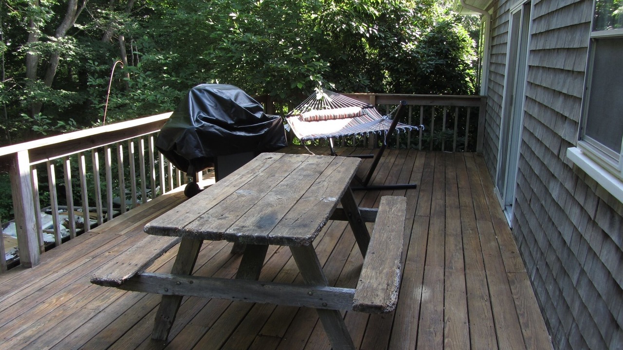 Photo of Others in Woods Hole