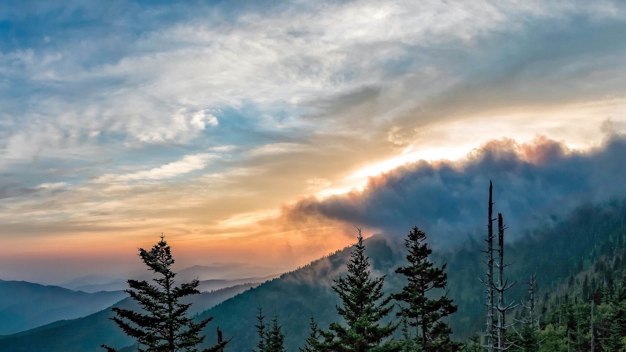 Photo of Others in Sevierville