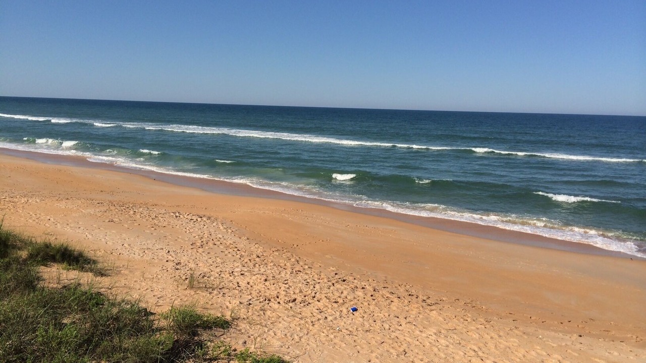 Photo of Others in Flagler Beach