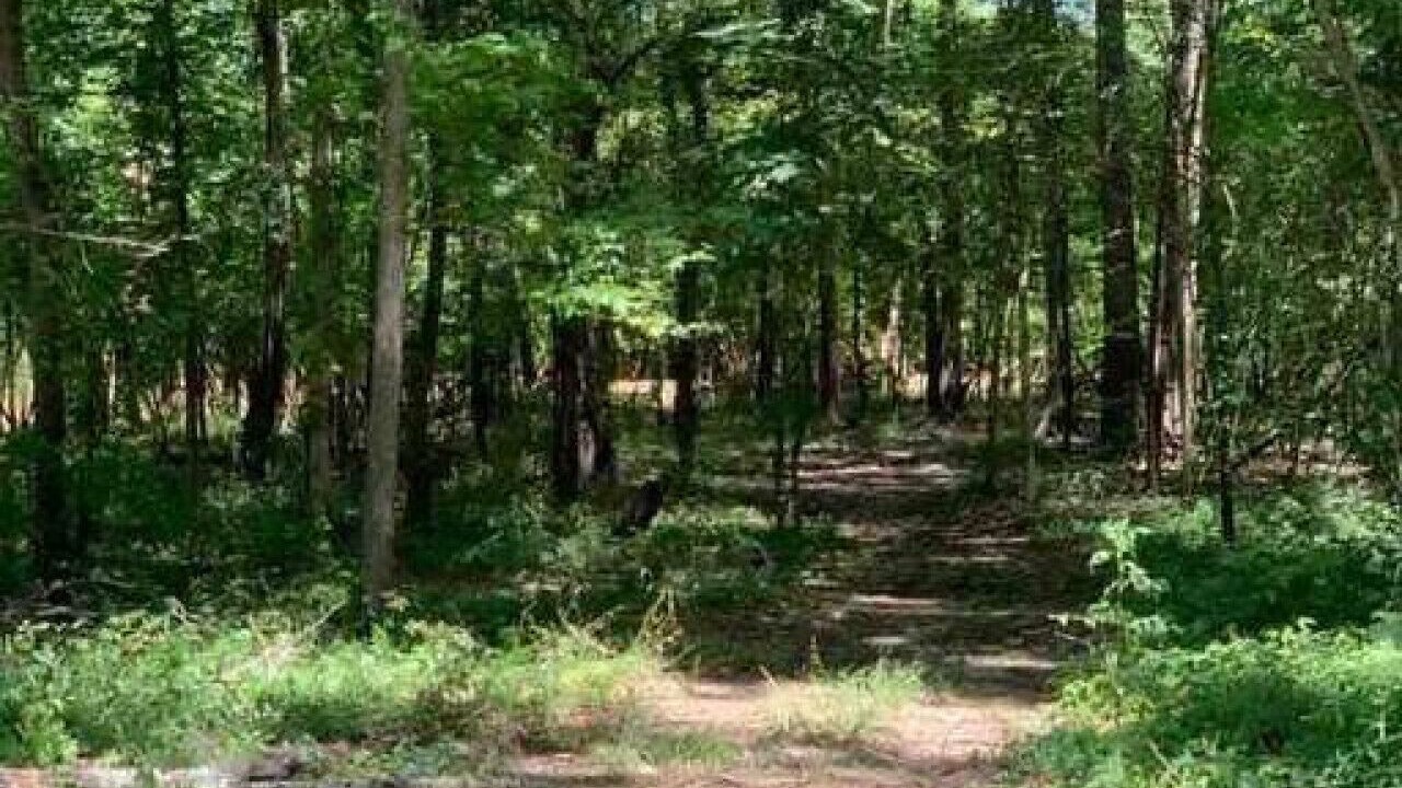Photo of Outdoor in Natchitoches