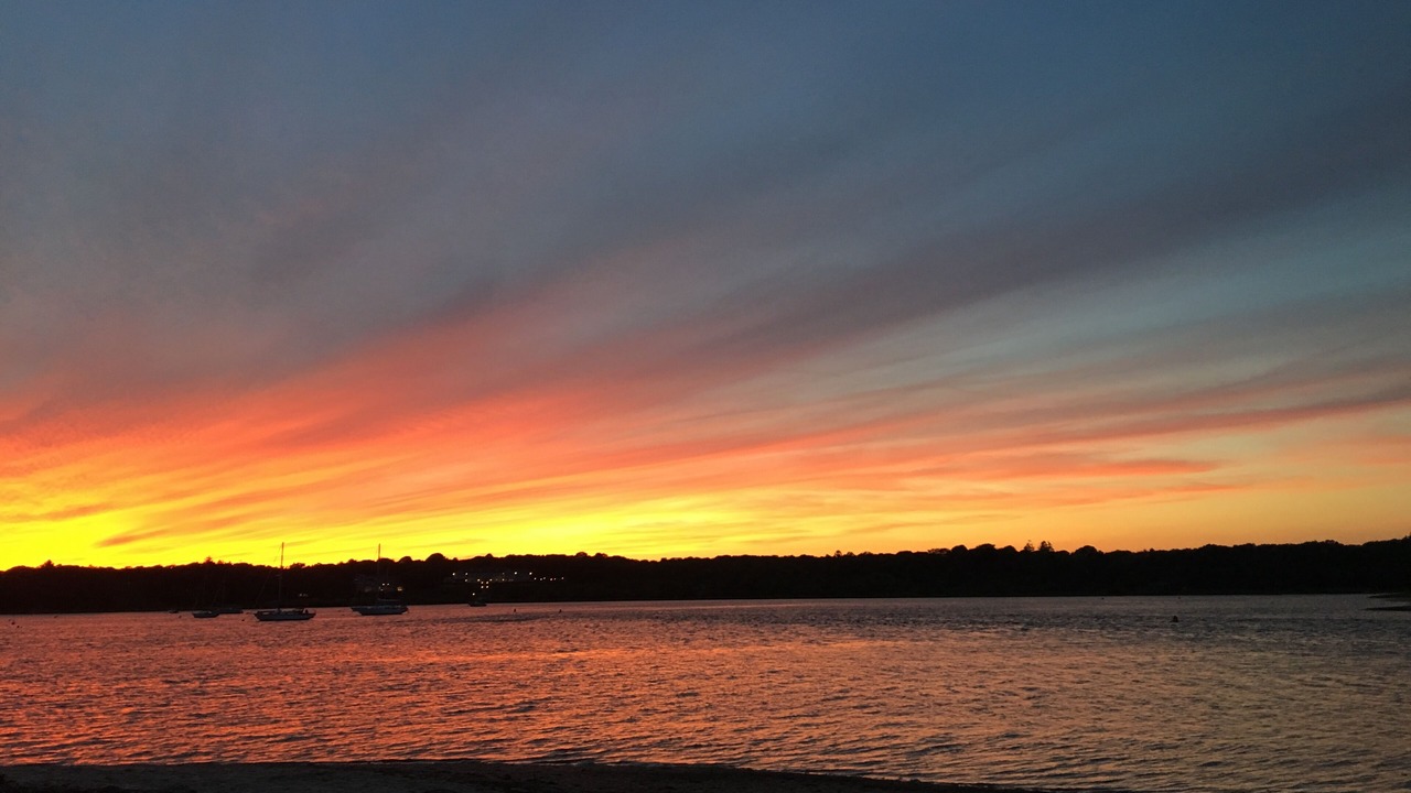 Photo of Others in Osterville