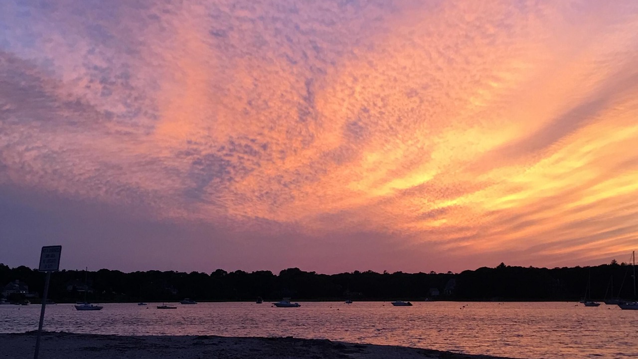 Photo of Others in Osterville