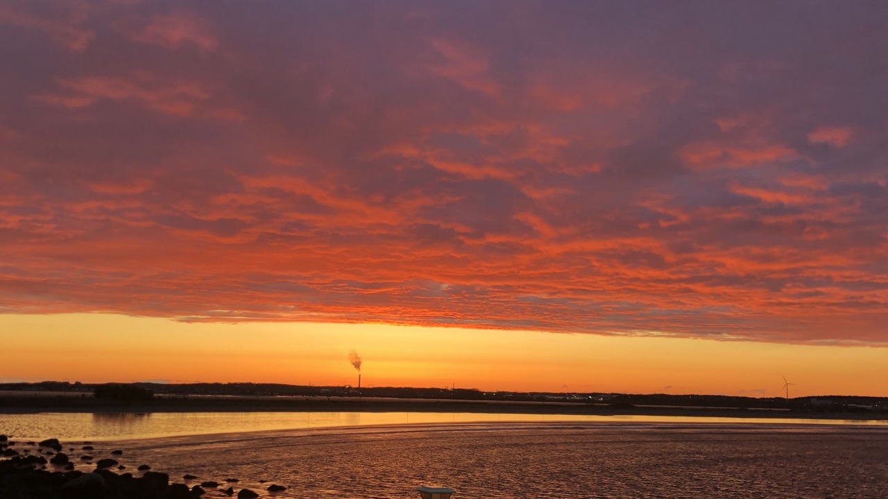 Photo of Others in Nahant