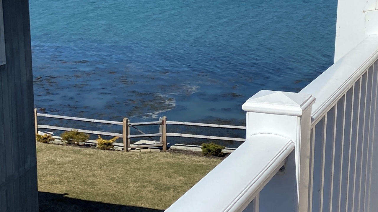 Photo of Others in Nahant
