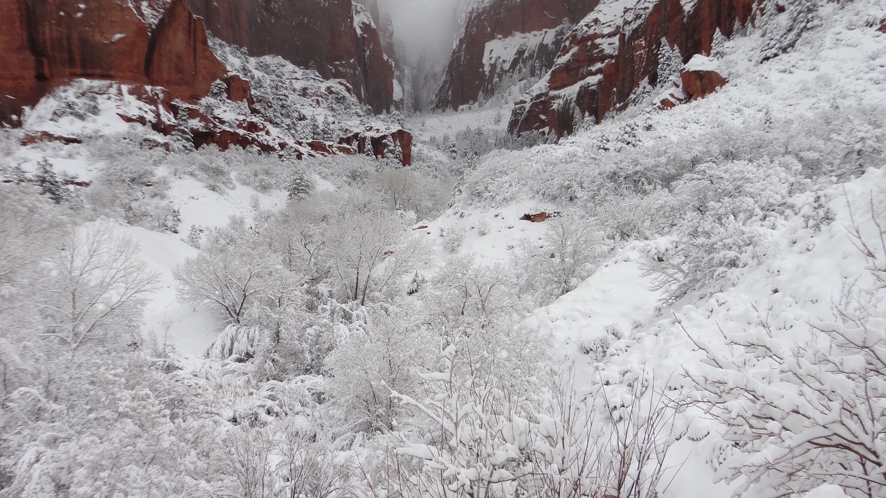 Photo of Outdoor in Zion National Park South Entrance