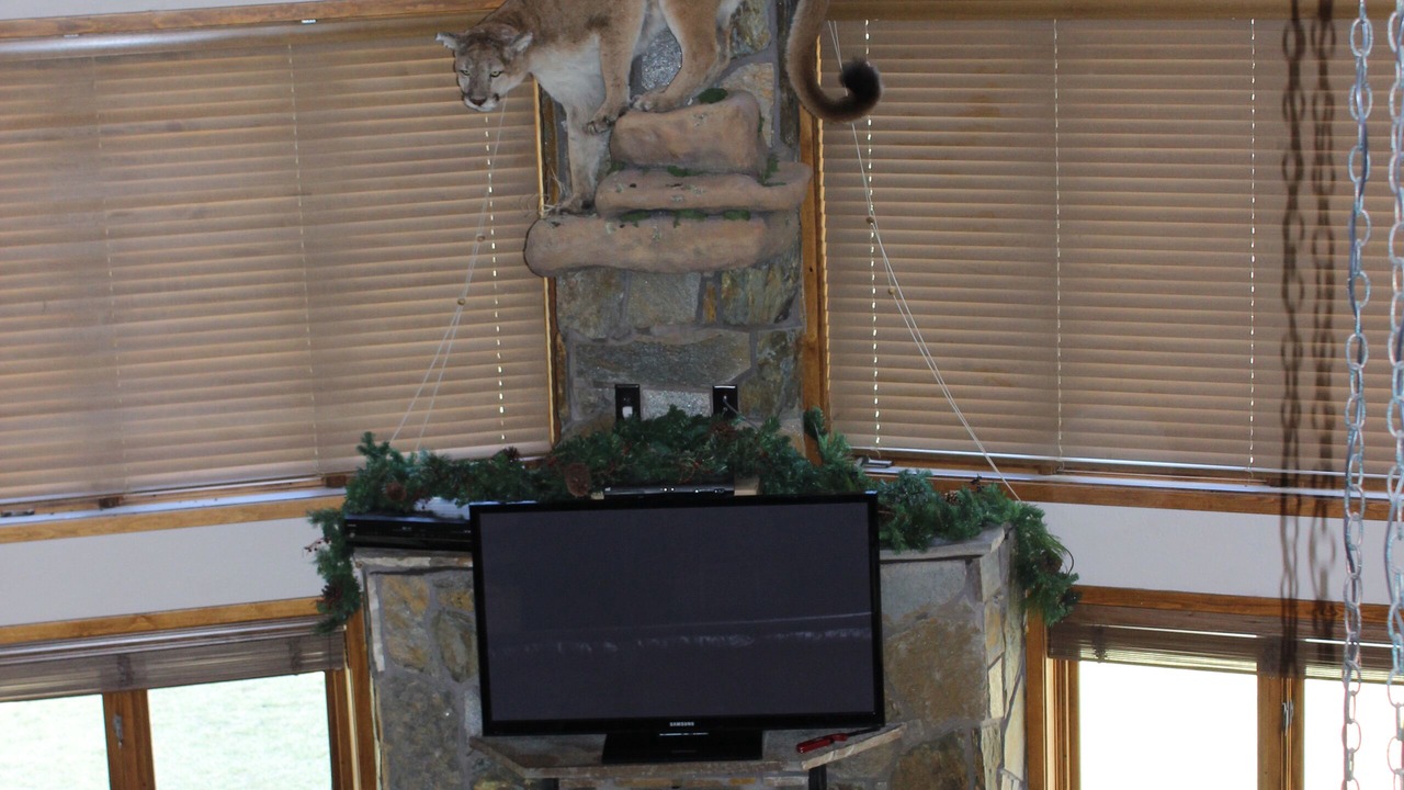 Photo of Livingroom in Custer