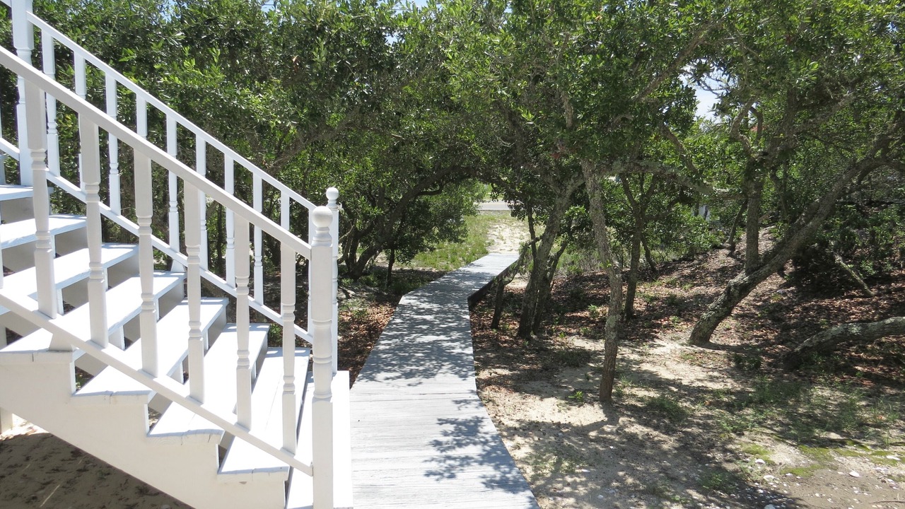Photo of Others in St. George Island