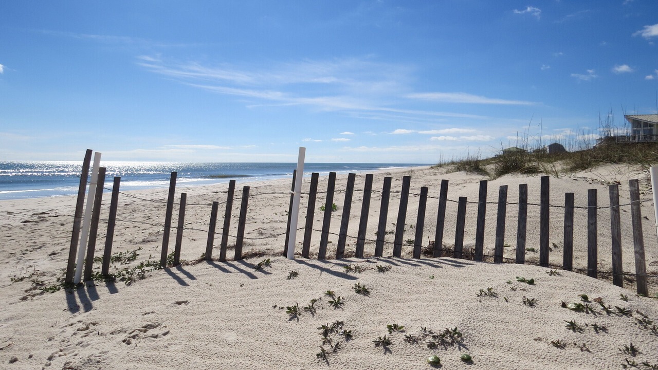 Photo of Others in St. George Island