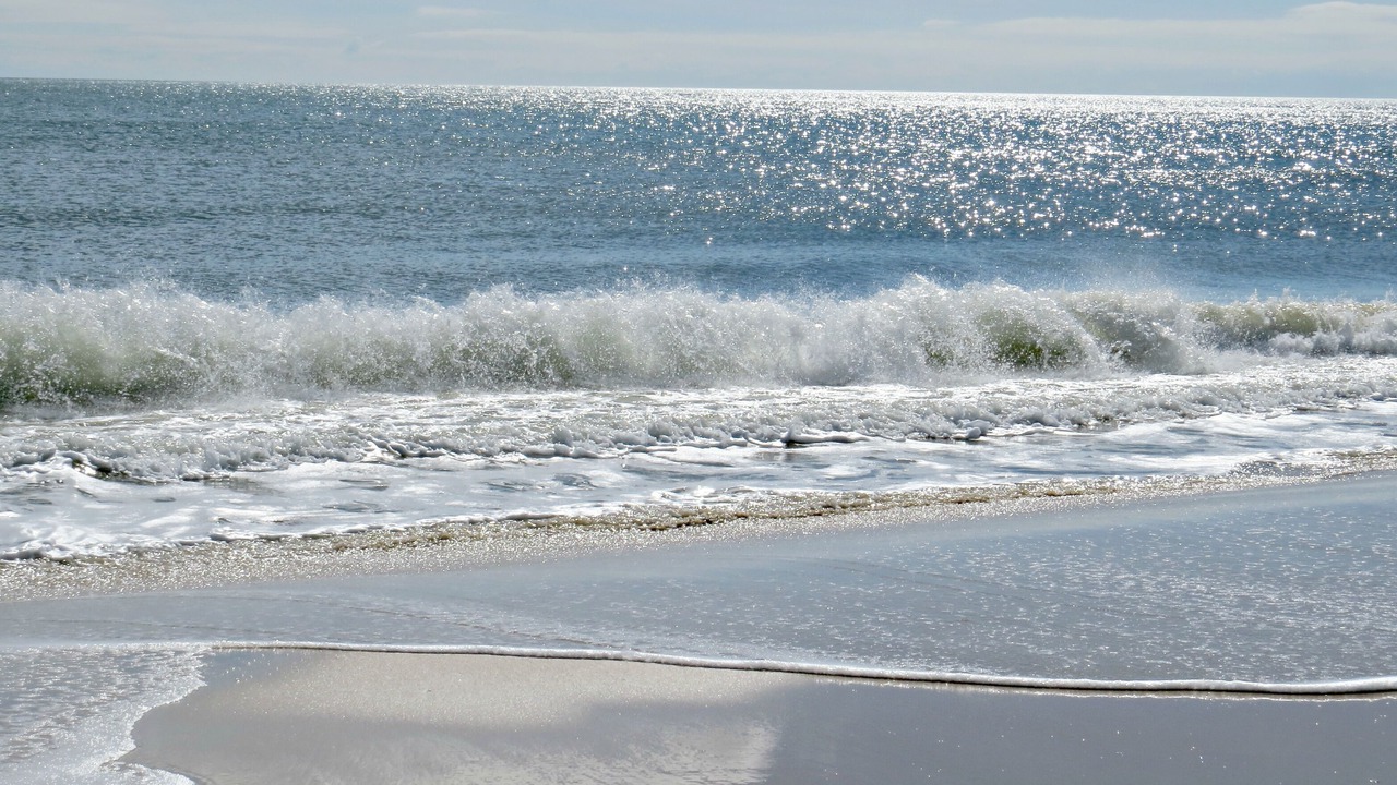 Photo of Others in St. George Island