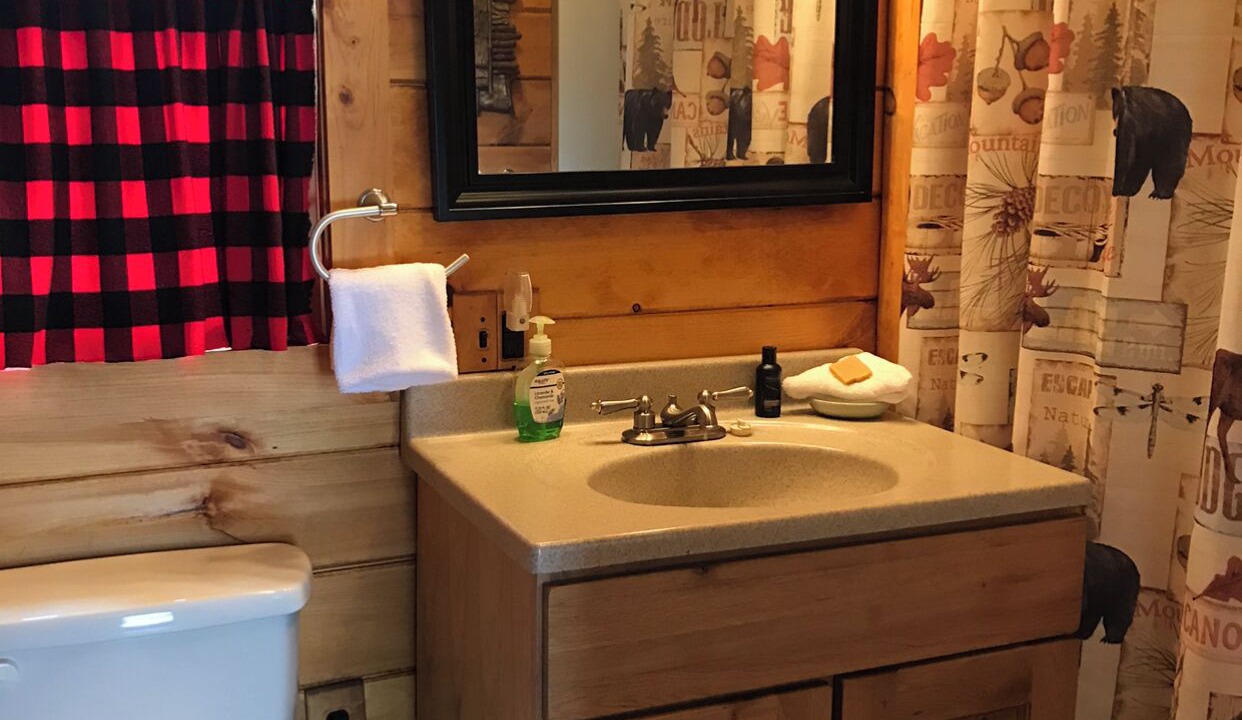 Photo of Bathroom in Caroga Lake